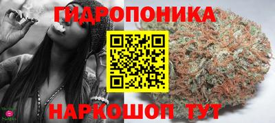 дмт Тара