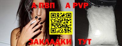 дмт Тара