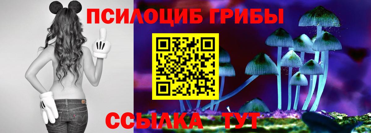 Азов  Галлюциногенные грибы мухоморы  Вход с VPN 